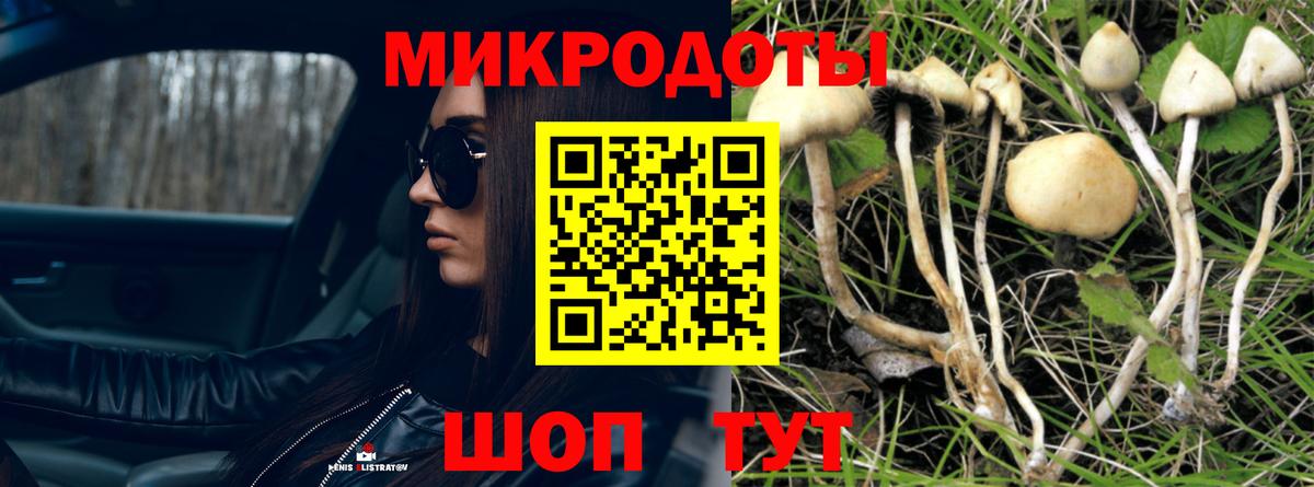 Дивногорск  Галлюциногенные грибы прущие грибы  Вход с VPN 